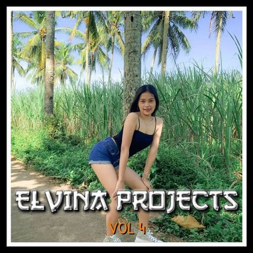 Elvina, Vol. 4 (Album)
