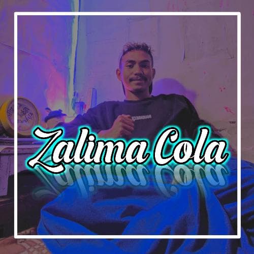 DJ India Zalima Cola (Remix)